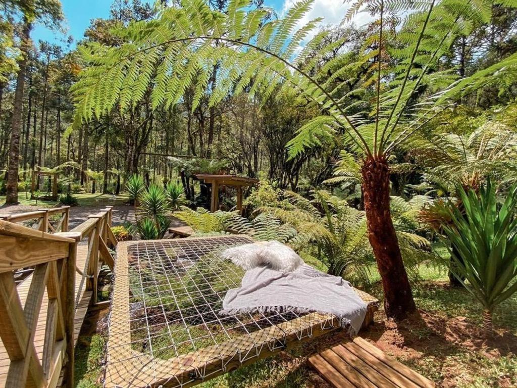 Pousada Anjos Da Serra Urubici Exteriör bild